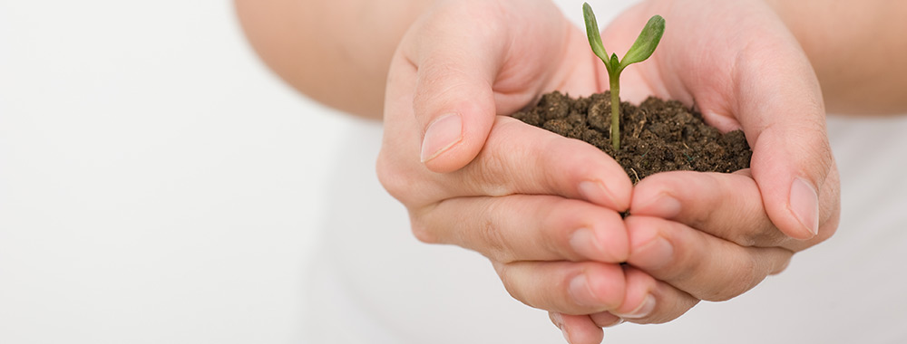 woman holding plant in hand